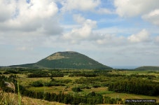 		창의인성교육넷(크레존) - 봉평 메밀막국수 거리	 봉평 메밀막국수 거리