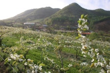 		창의인성교육넷(크레존) - 금산 바리실마을	 금산 바리실마을