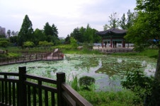 		창의인성교육넷(크레존) - 창선교와 죽방렴	 창선교와 죽방렴