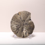 가장 즐거운 꿈 크리스탈 환타지 크리스탈 환타지