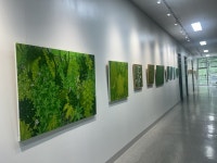 창신대학교 문덕수문학관, 서미자 초대전 「Symphony–sounds of nature」 개최 > 교내소식 - 창신대학교