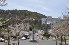 창신대학교 상징탑 > 창신갤러리 - 창신대학교