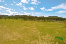 청송군 종합시설관리사업소 > 청송파크골프장