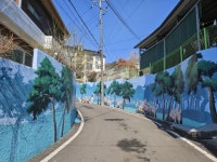 호남매일뉴스 순천시 향동, 참샘약수길 벽화골목 조성 ‘벽화마을 핫플’ 등극