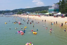 호남매일뉴스 보성군, 율포솔밭해수욕장 7월 12일 개장