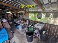 새해 - 더우 이야기(더불어사는 우리세상 이야기 1) [태국 이송우(ThaMi Lee) 선교사]