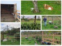 현장 귀환과 새 일 [압하지야 우동수 선교사]