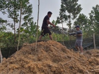 두리안 농장 프로젝트 감사 인사...[파울루스 ㅅㄱㅅ]