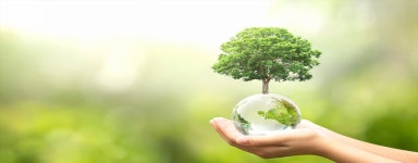 원예·식품학과 > 대학 > 대학/대학원 대학