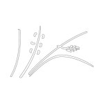 철솥통닭집 | 철솥(3133) | 디자인문양 | 전통문양 | 배워봐요 문화지식 | 문화포털 디자인문양 | 전통문양 | 배워봐요 문화지식 | 문화포털