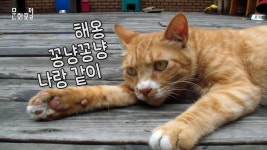문화포털-국내외 문화영상 문화TV | 상세