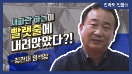 문화인터뷰 (상세) - 문화포털