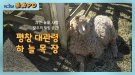 국내외 문화영상 (상세) - 문화포털