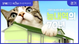 문화 디지털 영상 (목록) - 문화포털