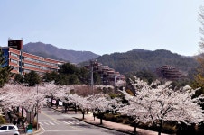 이미지 통합검색 - 문화포털-통합검색-문화포털