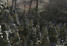 가족과 함께 떠나는 ‘강릉 겨울여행’ - 공감리포트 (상세) - 문화포털