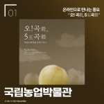 일상의 스토리가 있는 박물관 속 디지털 신기술 - 공감리포트 (상세) - 문화포털