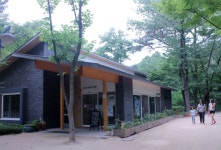 도심 속 ‘힐링’ 도서관 | 공감리포트 | 공감마당 | 함께해요 문화생활 | 문화포털 공감리포트 | 공감마당 | 함께해요 문화생활 |  문화포털