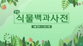 식물 관리 5대 포인트 대공개 - 온라인 교육ㆍ체험 -집콕문화생활... [문화포털 전시]이것만 신경쓴다면 절대 안 죽는다? 식물 관리 5대 포인트 대공개