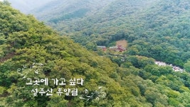 보령 성주산, 가을을 여는 ‘꽃무릇’ 만개! - 온라인 교육ㆍ체험 -집콕문화생활-문화포털 [문화포털 전시]보령 성주산... 
