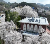 한눈에 보는 문화정보(상세) - 문화포털