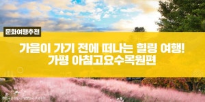 공감리포트 < 문화공감 < 문화포털 [문화포털 공감리포트]