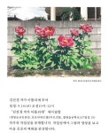 공지사항 - 철원종합문화복지센터 철원종합문화복지센터