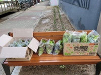 와수7리 신원아파트 김광배 이장님을 칭찬합니다이미지 원본보기 - 철원군청 철원군청