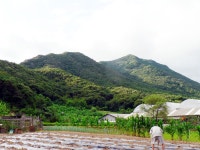 포토갤러리<가상여행<철원군관광문화