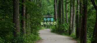 철원군 두루웰숲속문화촌