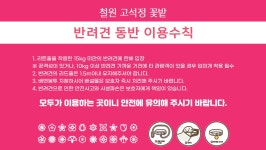 철원 고석정 꽃밭 길 - 문화관광 문화관광