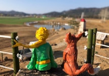 철원 고석정 꽃밭 길 - 문화관광 문화관광
