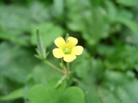 달성공원관리사무소게시판 | 대구광역시 달성공원관리사무소