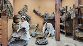 3F 한방역사실 | 대구약령시한의약박물관 Daegu Yangnyeongsi Oriental Museum 3F 한방역사실