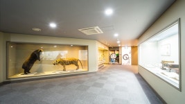 3F 한방역사실 | 대구약령시한의약박물관 Daegu Yangnyeongsi Oriental Museum 3F 한방역사실