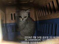대전광역시 동물보호센터 대전동물보호센터