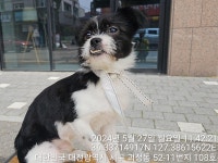 대전광역시 동물보호센터 대전동물보호센터