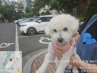 대전광역시 동물보호센터 대전동물보호센터