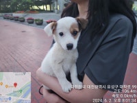 대전광역시 동물보호센터 대전동물보호센터