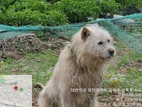 대전광역시 동물보호센터 대전동물보호센터