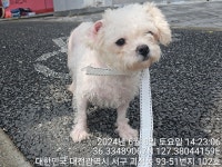 대전광역시 동물보호센터 대전동물보호센터