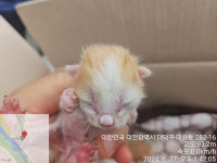 대전광역시 동물보호센터 대전동물보호센터