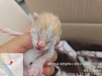대전광역시 동물보호센터 대전동물보호센터