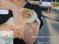 대전광역시 동물보호센터 대전동물보호센터