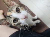 대전광역시 동물보호센터 대전동물보호센터