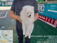 대전광역시 동물보호센터 대전동물보호센터