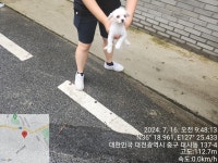 대전광역시 동물보호센터 대전동물보호센터
