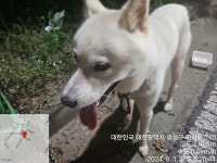 대전광역시 동물보호센터 대전동물보호센터