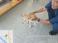 대전광역시 동물보호센터 대전동물보호센터