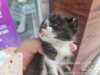 대전광역시 동물보호센터 대전동물보호센터